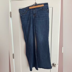 American Eagle favorite boyfriend jeans - 18 long